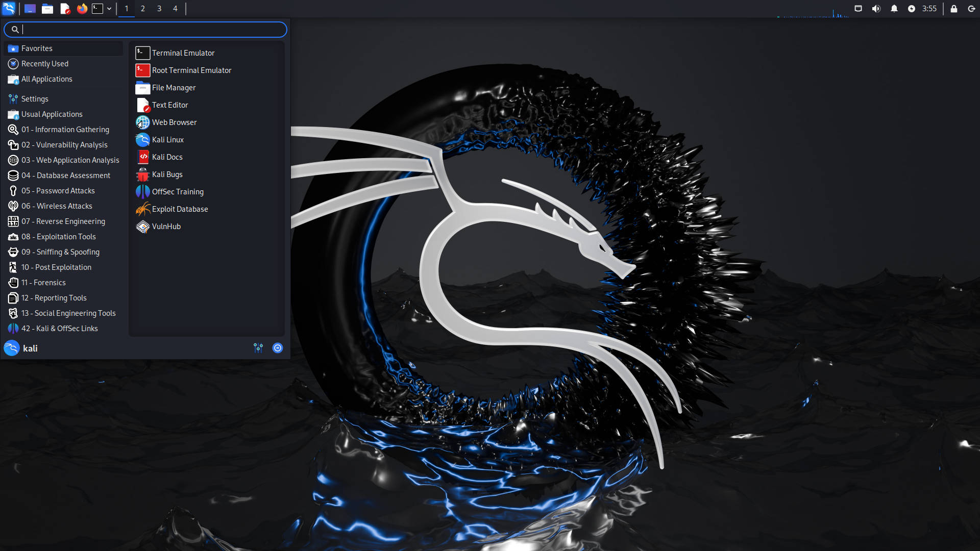 Kali Linux Interface